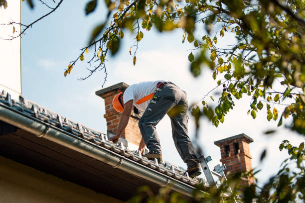 Roof Gutter Cleaning in Tilton, IL