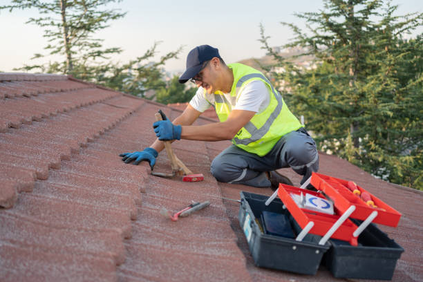 Best Flat Roof Repair Services  in Tton, IL